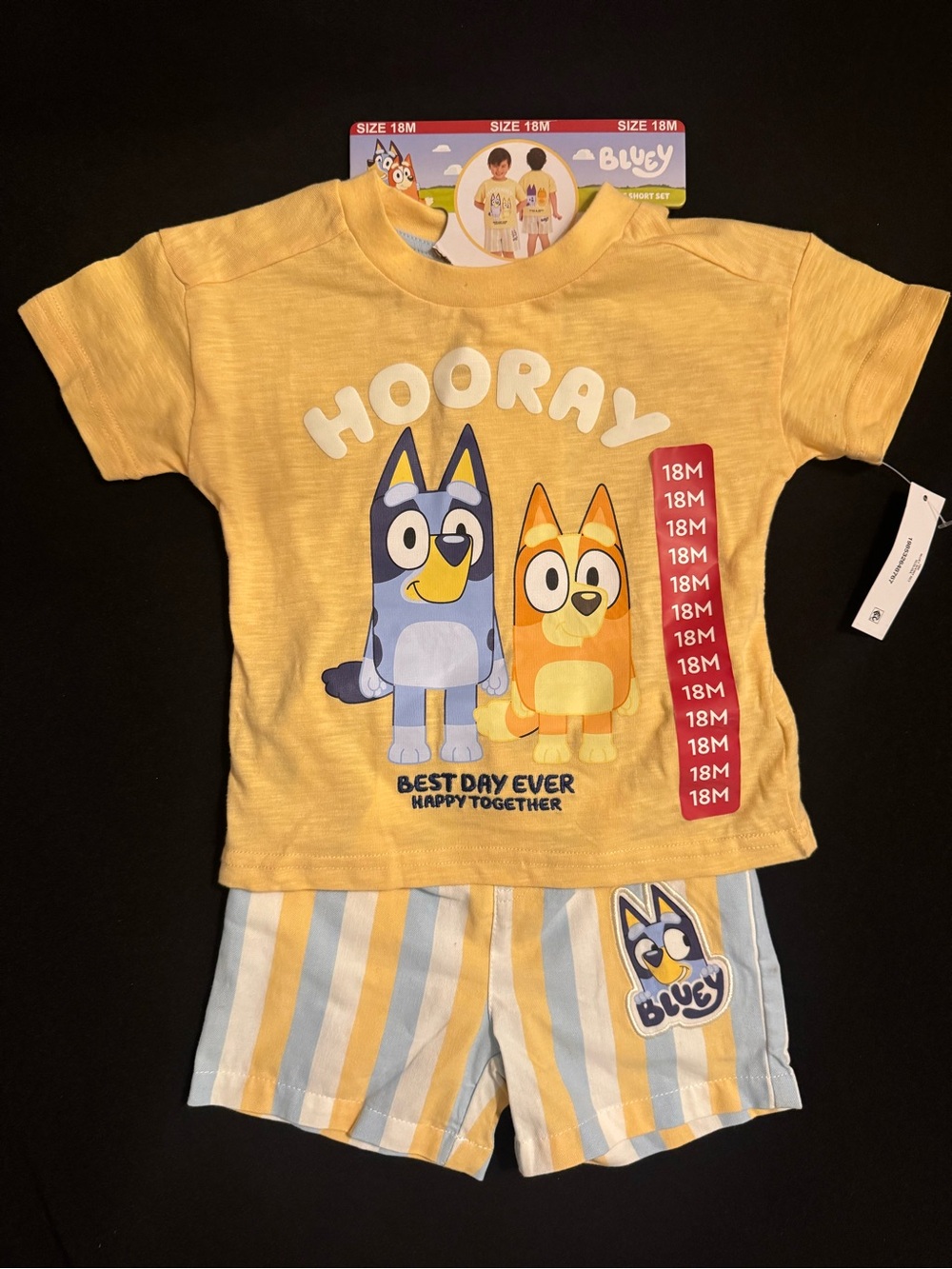 Bluey Boy Yellow Kids Set - 18M